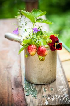 Bouquet of  strawberries in rustic cup on a wooden background 