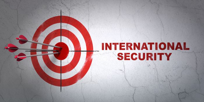 Success privacy concept: arrows hitting the center of target, Red International Security on wall background, 3D rendering