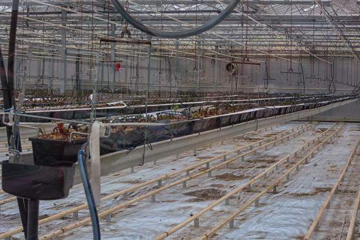 Empty greenhouse with flower ground ready for the cultivation of plants