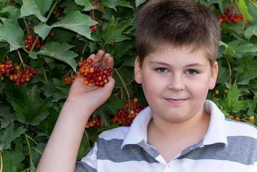 A Teenage boy about bush a viburnum