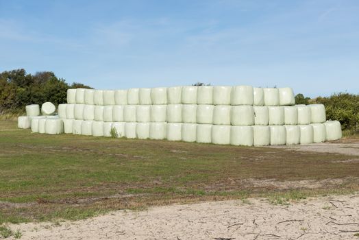 Stacked hay bales wrapped in green plastic as a winter inventory
