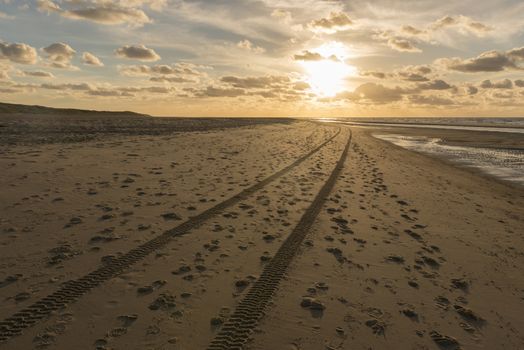 Traces in the North Sea Beach of the island Vlieland in the Netherlands
