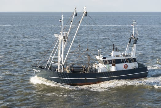 Fishing boat in the morning light on the UNESCO protected Dutch Wadden Sea near Harlingen in the Netherlands
