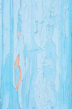 Cracking and peeling blue paint on a wall. Vintage wood background with peeling paint. Old board with Irradiated paint