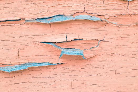 Cracking and peeling pink paint on a wall. Vintage wood background with peeling paint. Old board with Irradiated paint