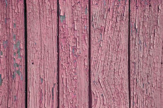 Cracking and peeling pink paint on a wall. Vintage wood background with green peeling paint. Old board with Irradiated paint