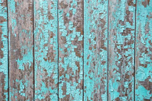 Cracking and peeling blue paint on a wall. Vintage wood background with peeling paint. Old board with Irradiated paint