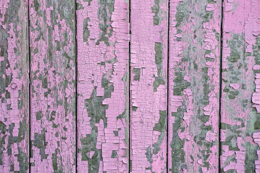 Cracking and peeling pink paint on a wall. Vintage wood background with peeling paint. Old board with Irradiated paint