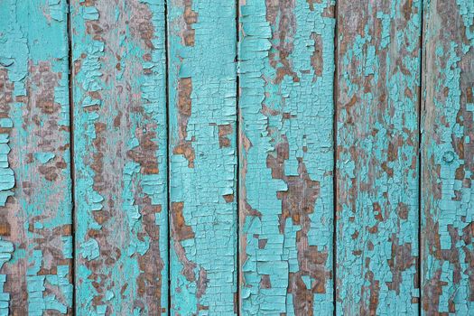 Cracking and peeling turquoise paint on a wall. Vintage wood background with blue peeling paint. Old board with Irradiated paint
