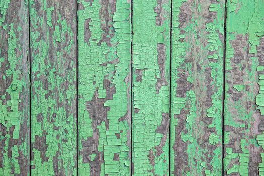 Cracking and peeling green paint on a wall. Vintage wood background with peeling paint. Old board with Irradiated paint