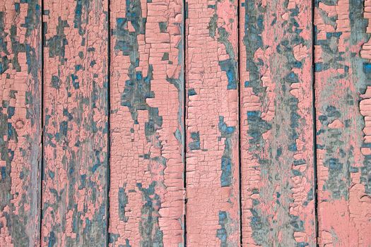 Cracking and peeling pink paint on a wall. Vintage wood background with peeling paint. Old board with Irradiated paint