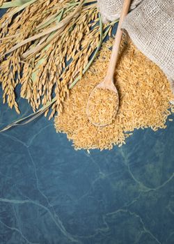 Brown rice uncooked in a bag with a pile of brown rice with over a full spoonful of rice and spike rice on table background.