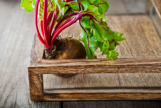 Fresh organic beet on a wooden tray. 