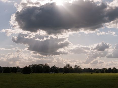 the sun poking through with beams of a very cloudy sky above an open country scene outside in essex england of the uk on a summer afternoon with no people and cows in the distance relaxing and grazing