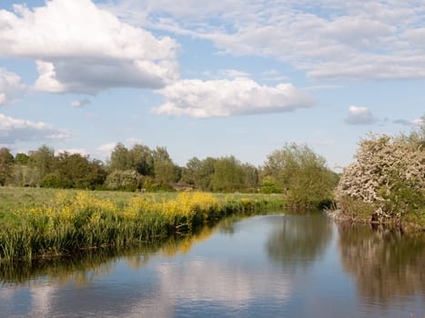 an incredible river running through the country location and landscape outside in the country with reflections in the lake and lots of color on a summer afternoon in essex uk england and no people walking and relaxing