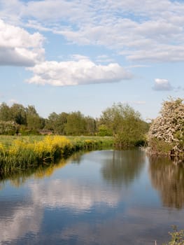 an incredible river running through the country location and landscape outside in the country with reflections in the lake and lots of colour on a summer afternoon in essex uk england and no people walking and relaxing vertical shot