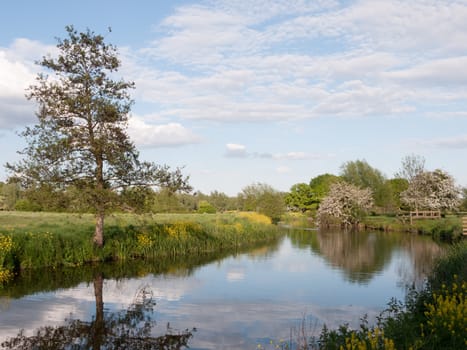 an incredible river running through the country location and landscape outside in the country with reflections in the lake and lots of colour on a summer afternoon in essex uk england and no people walking and relaxing