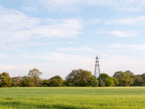 a farm field outside on a clear sunny day gorgeous lush nice farming spring light