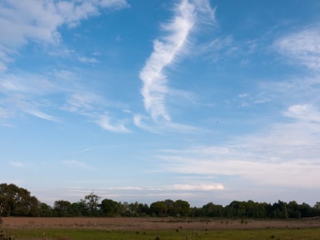 a clear sunny field outside peace wonderful nature no people cloud streaks in peace spring light