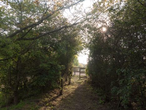 lush archway through nature countryside to walk and ramble through with wooden gate entrance peaceful and serene day