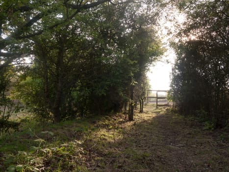 lush archway through nature countryside to walk and ramble through with wooden gate entrance peaceful and serene day