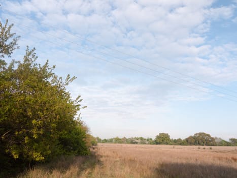 a clear sunny field outside peace wonderful nature no people cloud streaks in peace spring light no people