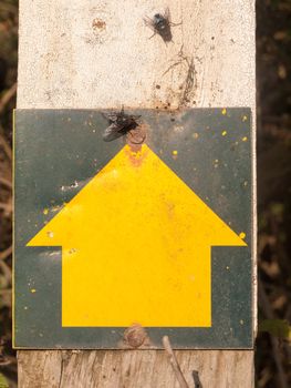 a yellow arrow head sign pointing up on wooden post graphic direction outside