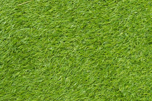 Green grass background texture