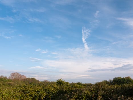 a wonderful blue sky over a field and tree tops outside peaceful and beautiful nature nice light