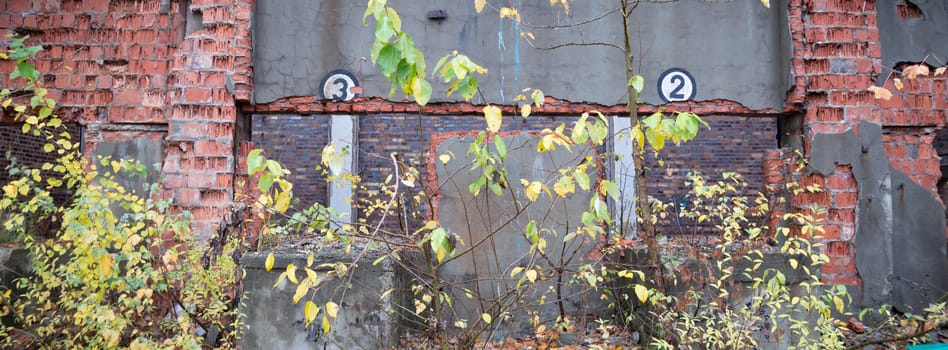 ruins of a very heavily polluted industrial factory, industrial series