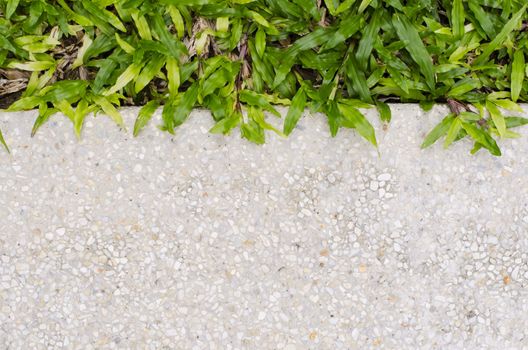 Gravel texture and strip grass as background copy space