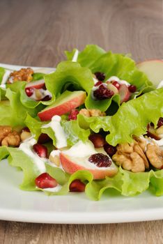 Salad of apples, cranberries , pomegranate, pine nuts and walnuts dressed with yogurt  