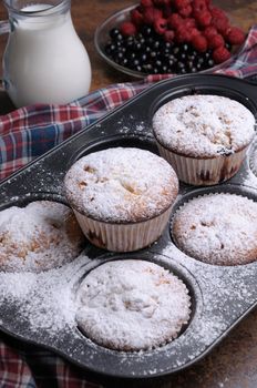 Muffins sugar powder in the pan on the table with carafe of milk and berries