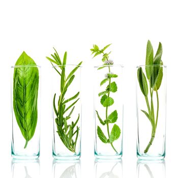 Close Up bottles of essential oils with fresh herbs . Sage, rosemary, sweet basil leaves and peppermint branch isolated on white background.