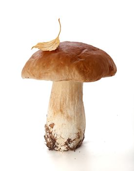 Isolated raw white mushroom with birch leaf on the white background