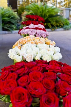 Vertical photo of white and red roses in marketplace