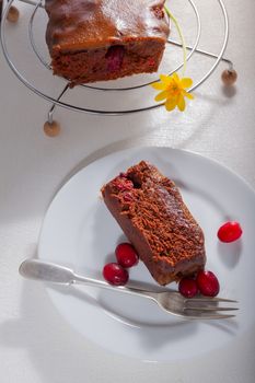 Chocolate and caramel cake with cranberries on a table