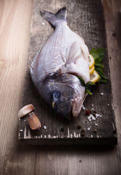 Sea Bream fish on a wooden board