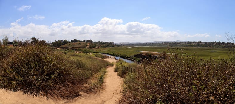 Upper Newport Bay Nature Preserve hiking trail winds along the marsh, where you will see wildlife in Newport Beach, California USA