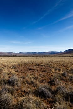 Yellow field leading to a house between the Mountains with Blue Skies in Graaff-Reinet.