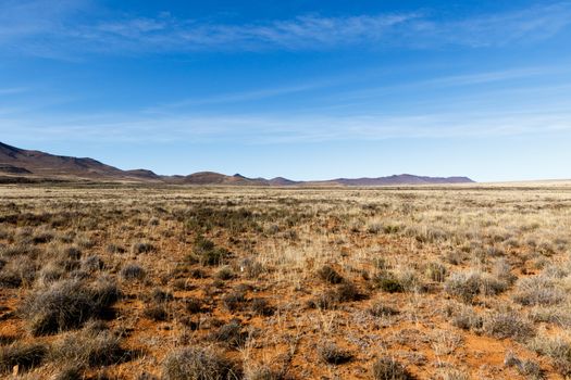 Long stretch of mountains in the yellow grass fields.