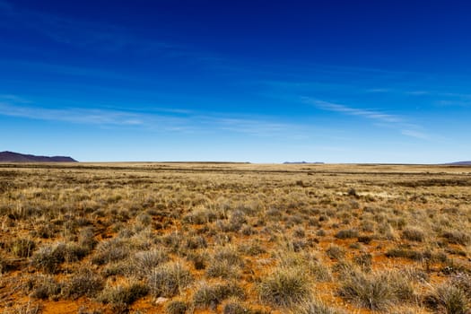 Beautiful flat lines of yellow fields with mountains view from the side.