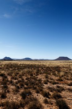 Portrait - Cradock with yellow fields and  mountains with blue sky in South Africa.