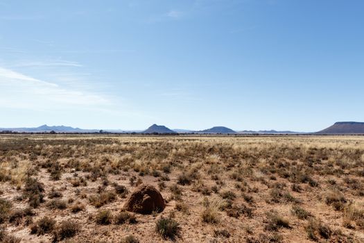 Cradock with yellow fields, ant hill and  mountains with blue sky in South Africa.