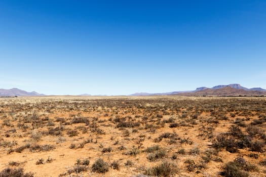 Barren field with mountains and blue sky in Cradock.