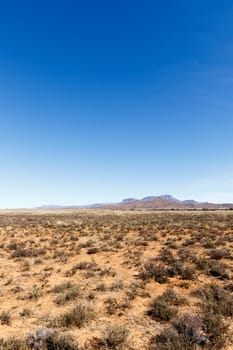 Portrait - Barren field with mountains and blue sky in Cradock.