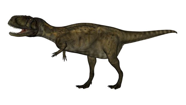 Abelosaurus dinosaur walking isolated in white background - 3D render