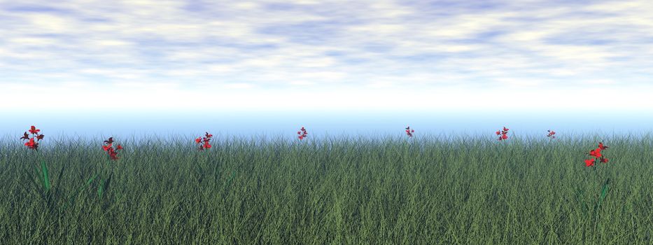Grassland with beautiful red flowers by cloudy day - 3D render