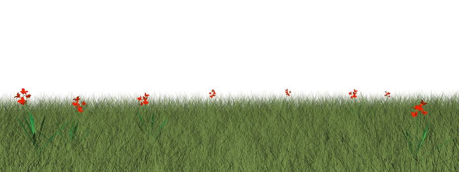 Grassland with beautiful red flowers isolated in white background - 3D render