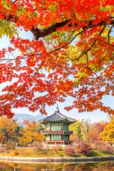 Autumn in Gyeongbukgung Palace,Korea.